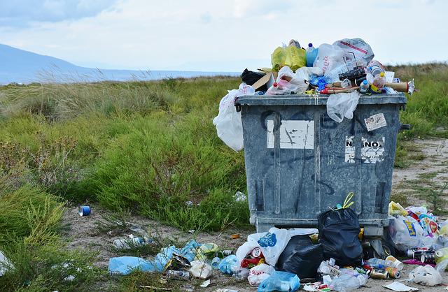 basura entra, basura sale